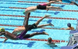natation 