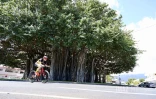 76ème édition du tour cycliste de La Réunion