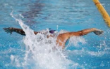 meeting championnat de la reunion 2018