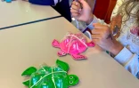 Saint-Leu : un atelier pédagogique et écologique pour les marmailles 
