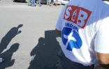 SIB