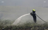 Feu de cannes à Sainte-Suzanne 31 août 2016