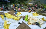 Grand raid 2025