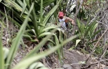 Grand raid 2018