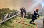 Incendie du Maïdo 8 novembre 2020