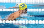 Natation