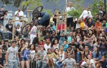 Total Bowl 2014