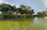 parc boisé au port 
