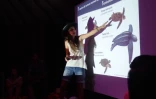 Conférence pint of science tortues Saint-Leu
