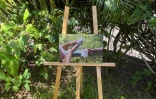 Saint-Leu : quatres adolescents à l'origine de l' exposition sur la vie lontan