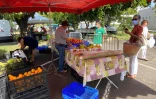Saint-Pierre : un marché forain dédié au personnel de santé