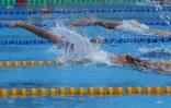 interclubs de natation 2015