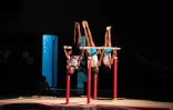 Le gala de gymnastique du Port fait le show