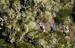 [PHOTOS] Grand Raid - Ils et elles sont allé(e)s jusqu'au bout du bout de l'effort