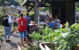 jardins partagés à sans souci