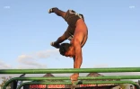 Championnat régional street workout au Port, bek la barre 