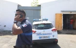 Ils tentent de capturer un singe, au Port