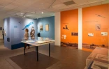 Exposition Roland Garros
