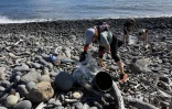 Sainte-Marie : plus d'une cinquantaine de bénévoles mobilisés pour nettoyer le littoral