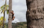 Concours grimpeur coco