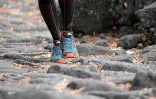 Grand Raid 2013
