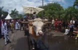 Dipavali 2016 à Saint-André - Holi