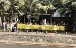 manifestation devant kelonia juin 2022