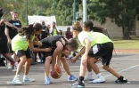 Basket
