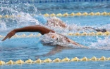 Natation