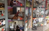 Le Crous fête ses trente ans 
