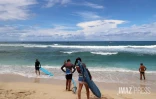 école de surf 