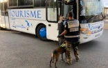 Contrôle de bus à Sainte-Marie : 23 bus contrôlés, 11 infractions relevées 