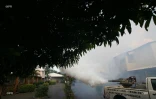 Chikungunya