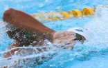 Meeting natation 2015