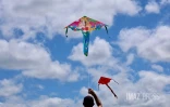 Marmay's en l'air : les cerfs-volants font le show à Saint-Pierre