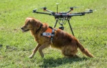 Présentation par l'organisation suisse Redog de l'utilisation de drones aux côtés de chiens pour les missions de sauvetage à Zurich, en Suisse, le 23 août 2017