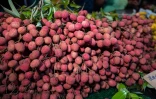 Saint-Denis a brillé pour le marché de nuit 