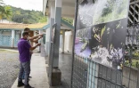 Entre-Deux : une exposition photos sur l'alimentation durable