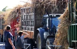 tracteurs planteurs