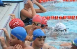 interclubs de natation 2015
