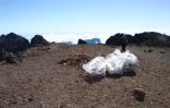 Déchets récoltés au Piton des Neiges