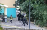 Saint-Denis : un homme retranché avec au moins un enfant dans le quartier de Bellepierre