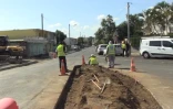 Saint-Denis : Travaux dans l'avenue Hubert de Lisle de La Source