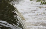 Fortes pluies