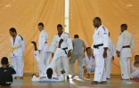 Handicapé et judo