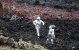 volcan février  2019