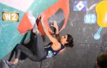 coupe du monde bloc 2019