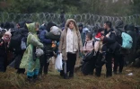 Des migrants à la frontière entre le Bélarus et la Pologne, le 8 novembre 2021
