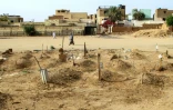 Tombes de personnes tuées pendant la guerre au Soudan, à Omdourman, près de Khartoum, le 20 mars 2025