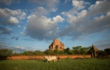 La pagode Sulamani endommagée le 25 août 2106, au lendemain d'un fort séisme qui a frappé le sanctuaire bouddhiste de Bagan en Birmanie